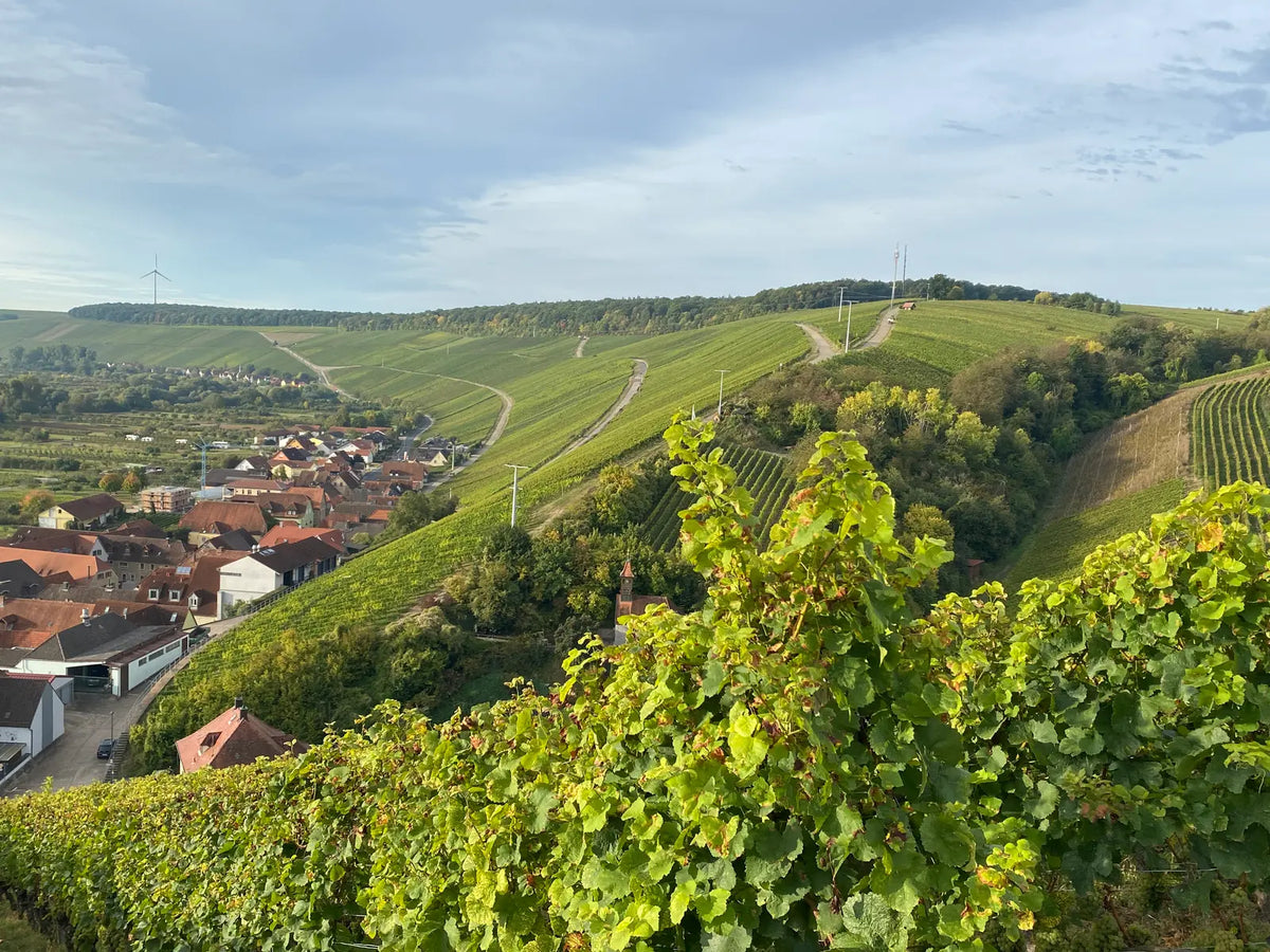 Weingut Markus Meier