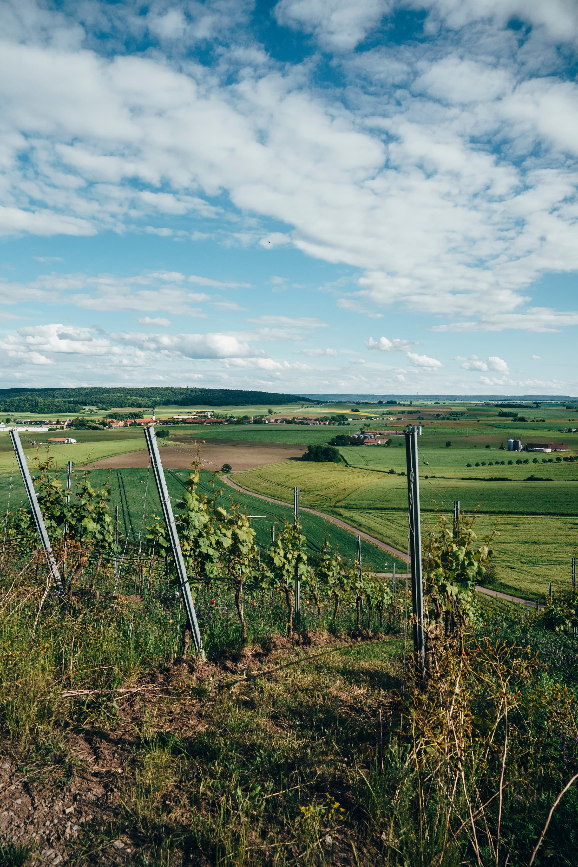 Weingut Markus Meier