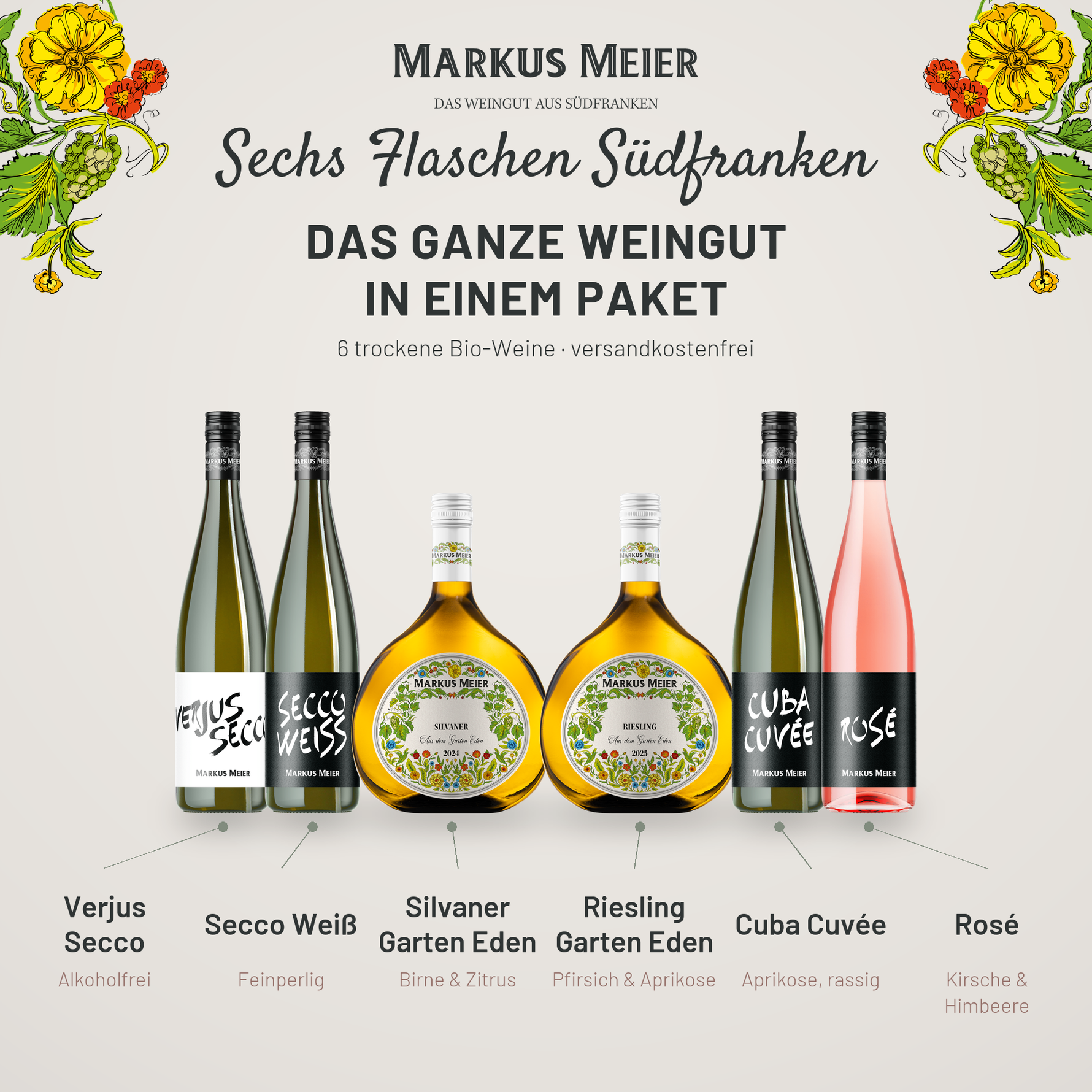 Weinerlebnispaket Trocken — die enthaltenen Weine im Detail