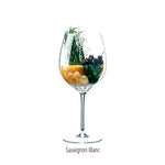 Sauvignon Blanc Würzburger Kirchberg 2023 – Aromaglas